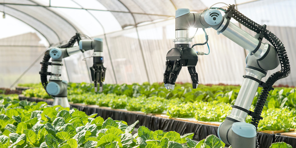 Smart Agriculture